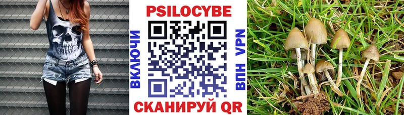 Галлюциногенные грибы MAGIC MUSHROOMS blacksprut вход Льгов нарко площадка клад где купить